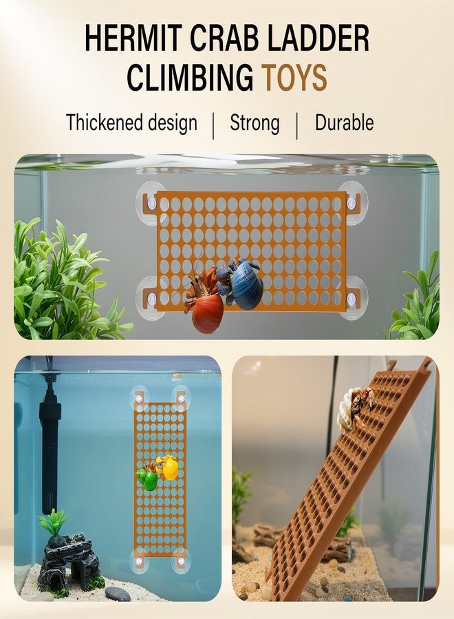 Enhon Hermit Crab Climbing Toys with 4 Suction Cups, Hermit Crab Accessories, Round Hole Decor Ladder Tank Decoration, Climbing Nets and Accessories for Tank and Aquarium Exploration Habitat - Image 3
